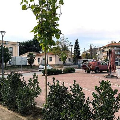 Ολοκληρώθηκε η 2η φάση φύτευσης στα πλαίσια της ανάπλασης του κέντρου του Αμυνταίου
