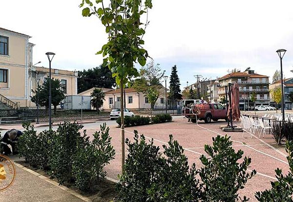 Ολοκληρώθηκε η 2η φάση φύτευσης στα πλαίσια της ανάπλασης του κέντρου του Αμυνταίου
