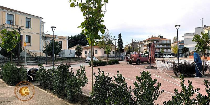 Ολοκληρώθηκε η 2η φάση φύτευσης στα πλαίσια της ανάπλασης του κέντρου του Αμυνταίου