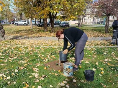 Σε πλήρη εξέλιξη οι δενδροφυτεύσεις από το Τμήμα Συντήρησης & Φροντίδας Πρασίνου του Δήμου Φλώρινας