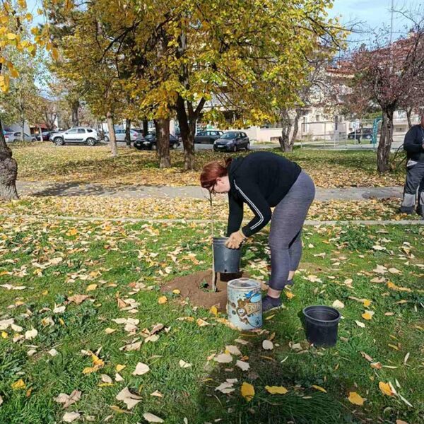 Σε πλήρη εξέλιξη οι δενδροφυτεύσεις από το Τμήμα Συντήρησης & Φροντίδας Πρασίνου του Δήμου Φλώρινας