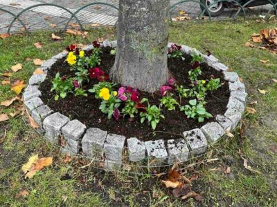 Με την εθελοντική συμμετοχή μαθητών και εκπαιδευτικών του 1ου Εργαστηριακού Κέντρου συνεχίστηκαν οι ανθοφυτεύσεις στη Φλώρινα