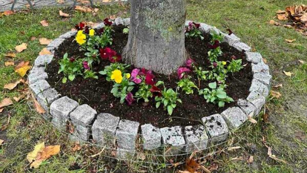 Με την εθελοντική συμμετοχή μαθητών και εκπαιδευτικών του 1ου Εργαστηριακού Κέντρου συνεχίστηκαν οι ανθοφυτεύσεις στη Φλώρινα