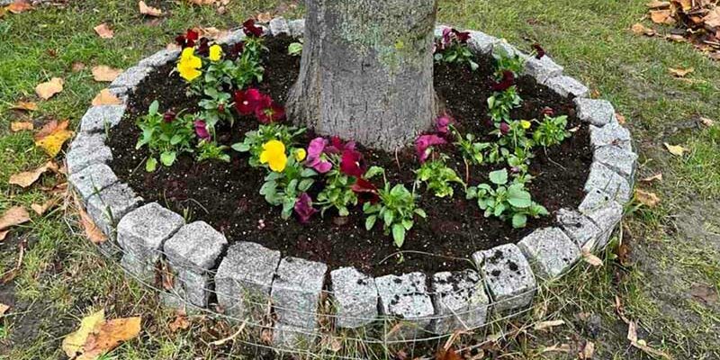 Με την εθελοντική συμμετοχή μαθητών και εκπαιδευτικών του 1ου Εργαστηριακού Κέντρου συνεχίστηκαν οι ανθοφυτεύσεις στη Φλώρινα