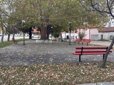 Συντήρηση παγκακίων & καθαρισμός Δημοτικών οικοπέδων σε όλη την επικράτεια του Δήμου Αμυνταίου