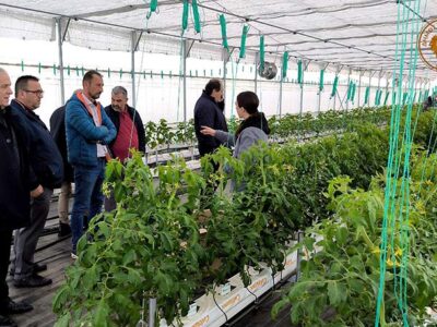 Αυτοψία στα πιλοτικά γεωθερμικά θερμοκήπια – Σύντομα οι πρώτες παραγωγές στην αγορά