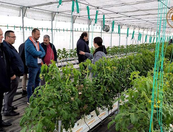 Αυτοψία στα πιλοτικά γεωθερμικά θερμοκήπια – Σύντομα οι πρώτες παραγωγές στην αγορά