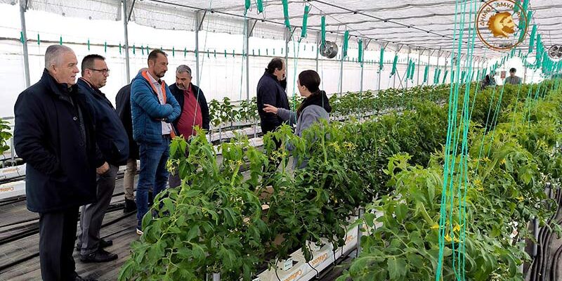 Αυτοψία στα πιλοτικά γεωθερμικά θερμοκήπια – Σύντομα οι πρώτες παραγωγές στην αγορά