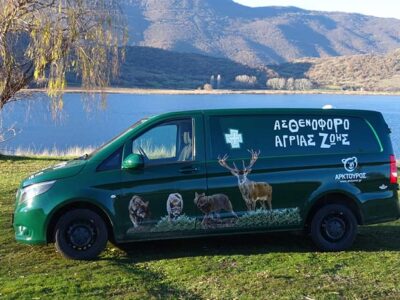 Ο Αρκτούρος απέκτησε ασθενοφόρο για αρκούδες, λύκους, τσακάλια, ζαρκάδια και ελάφια