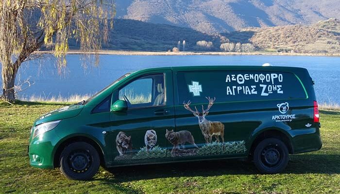 Ο Αρκτούρος απέκτησε ασθενοφόρο για αρκούδες, λύκους, τσακάλια, ζαρκάδια και ελάφια