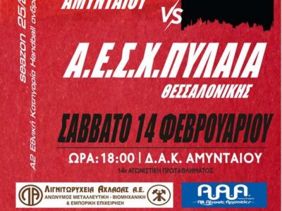 ΧΑΝΤΜΠΟΛ: Όλοι μια γροθιά στον αγώνα του Αμύντα Αμυνταίου απέναντι στην Πυλαία