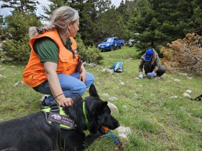 ΕΘΝΙΚΗ ΗΜΕΡΑ ΔΡΑΣΗΣ ΚΑΤΑ ΤΩΝ ΔΗΛΗΤΗΡΙΑΣΜΕΝΩΝ ΔΟΛΩΜΑΤΩΝ