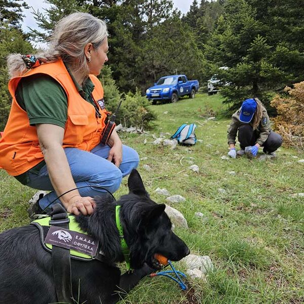 ΕΘΝΙΚΗ ΗΜΕΡΑ ΔΡΑΣΗΣ ΚΑΤΑ ΤΩΝ ΔΗΛΗΤΗΡΙΑΣΜΕΝΩΝ ΔΟΛΩΜΑΤΩΝ