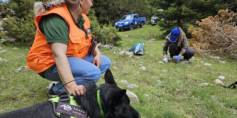 ΕΘΝΙΚΗ ΗΜΕΡΑ ΔΡΑΣΗΣ ΚΑΤΑ ΤΩΝ ΔΗΛΗΤΗΡΙΑΣΜΕΝΩΝ ΔΟΛΩΜΑΤΩΝ