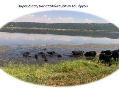 3η ΤΟΠΙΚΗ ΗΜΕΡΙΔΑ του έργου NATMed Nature-based Solutions