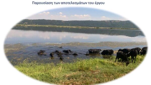 3η ΤΟΠΙΚΗ ΗΜΕΡΙΔΑ του έργου NATMed Nature-based Solutions