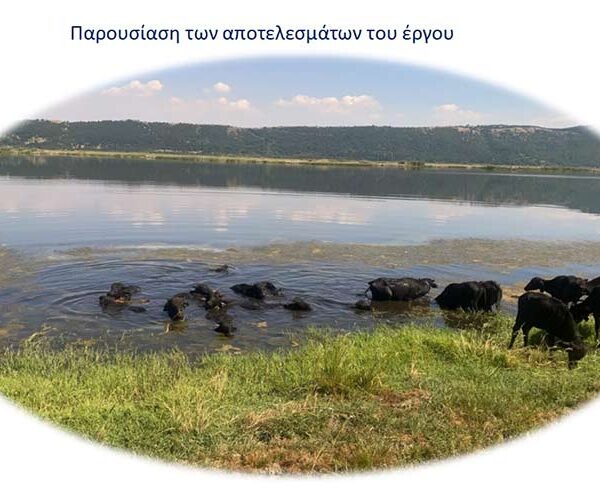 3η ΤΟΠΙΚΗ ΗΜΕΡΙΔΑ του έργου NATMed Nature-based Solutions