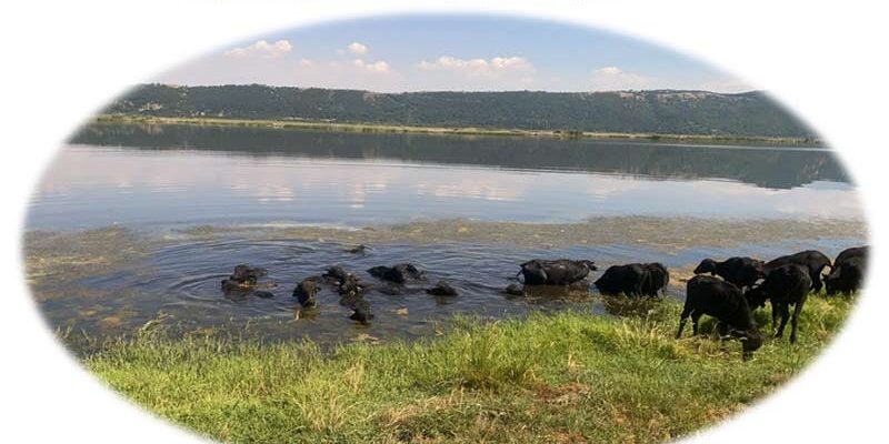 3η ΤΟΠΙΚΗ ΗΜΕΡΙΔΑ του έργου NATMed Nature-based Solutions