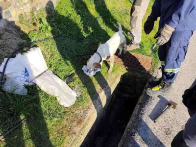 Συνδρομή του Δήμου Φλώρινας σε επιχείρηση απεγκλωβισμού σκύλου από φρεάτιο στην κοινότητα Πολυποτάμου