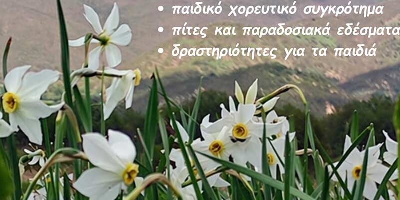 Η Γιορτή του Νάρκισσου την Πρωτομαγιά στην Πρέσπα