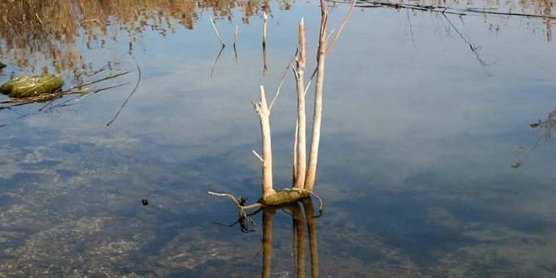 «Κάτω τα χέρια από τη λίμνη» Σύλλογος Προστασίας Βεγορίτιδας