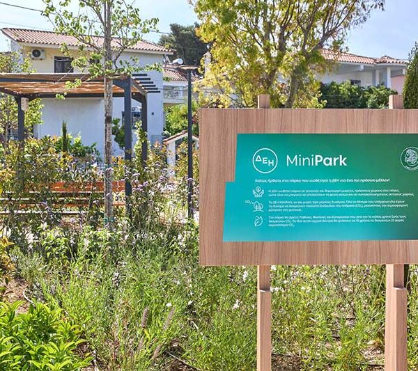 ΔΕΗ: Δημιούργησε 23 πάρκα τσέπης σε Αθήνα και Θεσσαλονίκη 11 ΔΕΗ: Δημιούργησε 23 πάρκα τσέπης σε Αθήνα και Θεσσαλονίκη