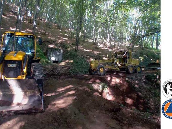 Σε εξέλιξη οι εργασίες συντήρησης του δημοτικού δασικού οδικού δικτύου του Δήμου Φλώρινας 11 Σε εξέλιξη οι εργασίες συντήρησης του δημοτικού δασικού οδικού δικτύου του Δήμου Φλώρινας