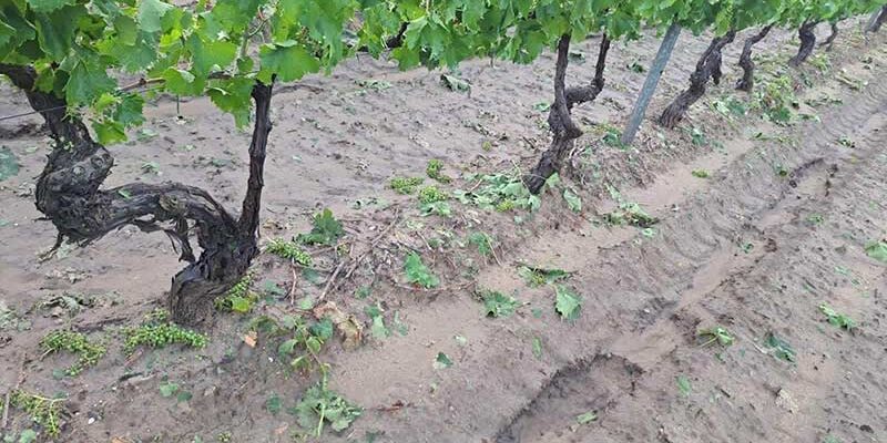 Στ. Παπασωτηρίου για την χθεσινή κακοκαιρία που έπληξε την Π.Ε Φλώρινας