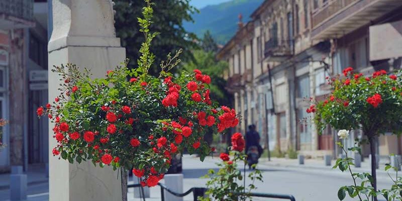 Ολοκληρώθηκε ο πρώτος κύκλος ανθοφυτεύσεων και δενδροφυτεύσεων στην πόλη και στις κοινότητες του Δήμου Φλώρινας