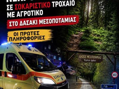 Καστοριά: Νεκρός 16χρονος σε τροχαίο κοντά στο δασάκι Μεσοποταμίας 6 Καστοριά: Νεκρός 16χρονος σε τροχαίο κοντά στο δασάκι Μεσοποταμίας