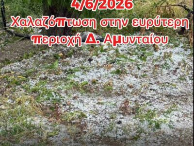 Εντονη χαλαζόπτωση στην περιοχή του Δήμου Αμυνταίου 16 Εντονη χαλαζόπτωση στην περιοχή του Δήμου Αμυνταίου