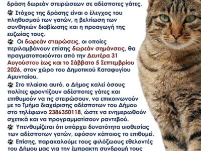 Δράση δωρεάν στειρώσεων σε γάτες του Δήμου Αμυνταίου