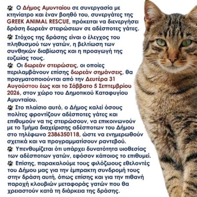 Δράση δωρεάν στειρώσεων σε γάτες του Δήμου Αμυνταίου