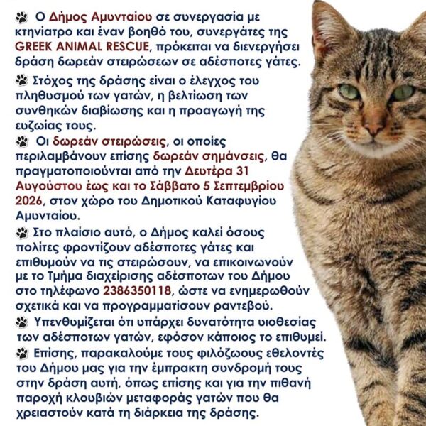 Δράση δωρεάν στειρώσεων σε γάτες του Δήμου Αμυνταίου