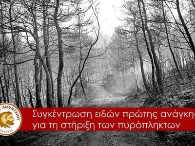 Κάλεσμα αλληλεγγύης του Δήμου Αμυνταίου για τους πυρόπληκτους των Βιλίων