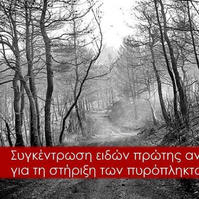 Κάλεσμα αλληλεγγύης του Δήμου Αμυνταίου για τους πυρόπληκτους των Βιλίων