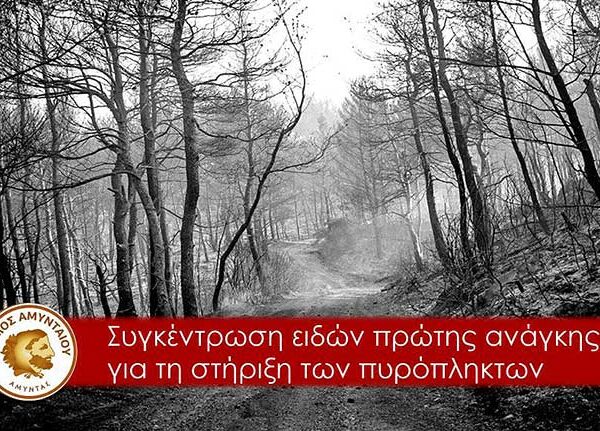 Κάλεσμα αλληλεγγύης του Δήμου Αμυνταίου για τους πυρόπληκτους των Βιλίων 10 Κάλεσμα αλληλεγγύης του Δήμου Αμυνταίου για τους πυρόπληκτους των Βιλίων