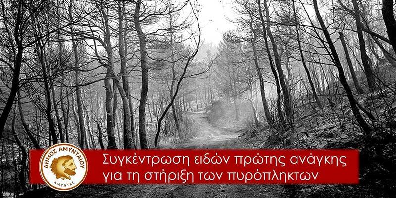 Κάλεσμα αλληλεγγύης του Δήμου Αμυνταίου για τους πυρόπληκτους των Βιλίων