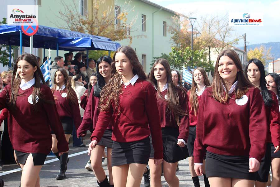 Αμύνταιο - Δείτε το πλούσιο φωτορεπόρταζ, για την σημερινή εθνική επέτειο της 28ης Οκτωβρίου 1940